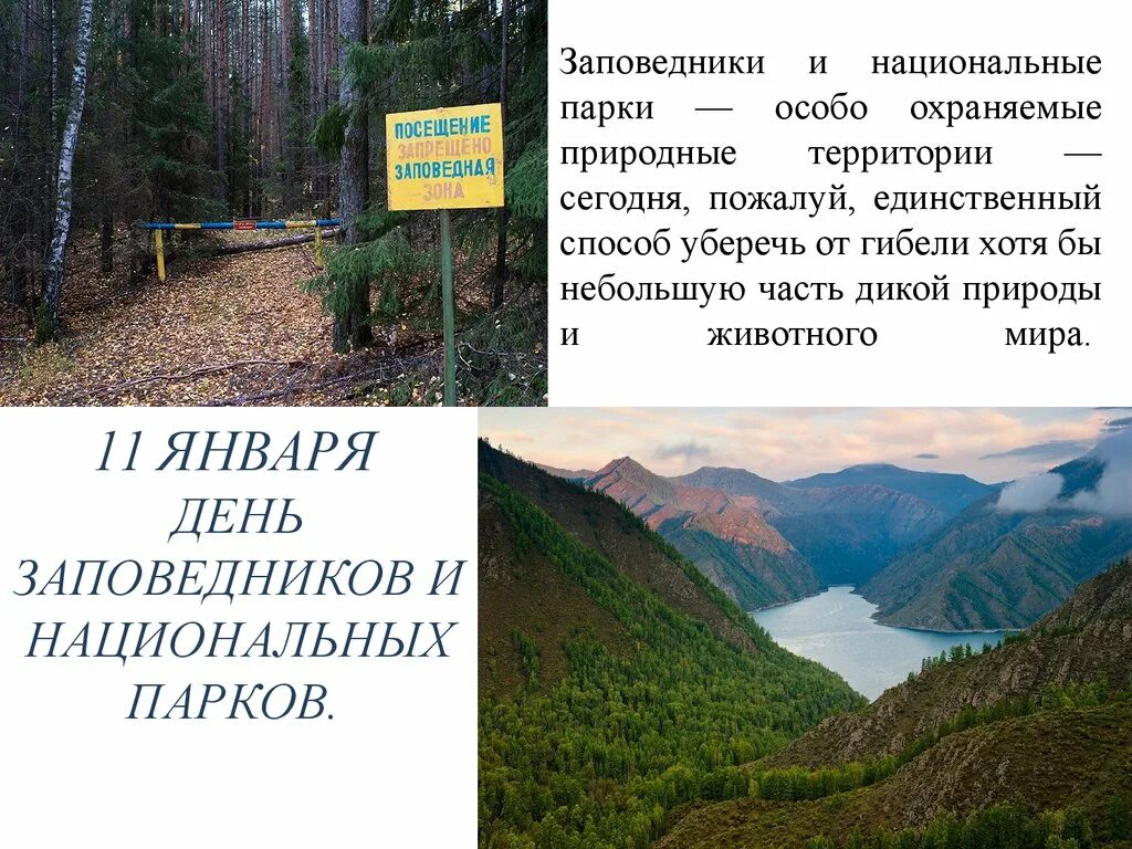 Национальный заповедник россии сообщение. Национальные заповедники и национальные парки России. Проект заповедник. День заповедников и национальных парков.