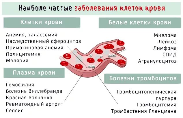 Случаи заболевания крови