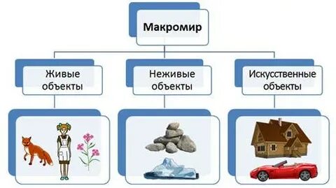 Группы живых объектов