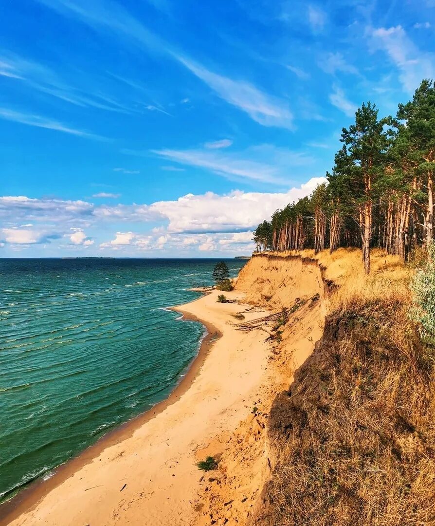 Самара пляж. Поселок Висла Самарская область. Муранский Бор Шигонский район. Отдохнуть летом на волге