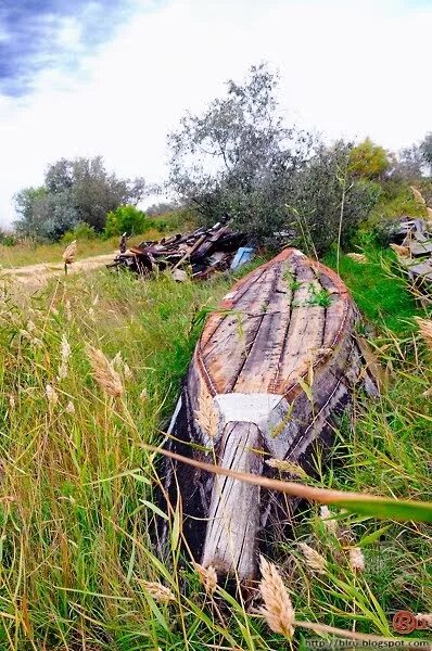 Остров Лагань. Лагань город. Рп5 Лагань. Подслушано Лагань.