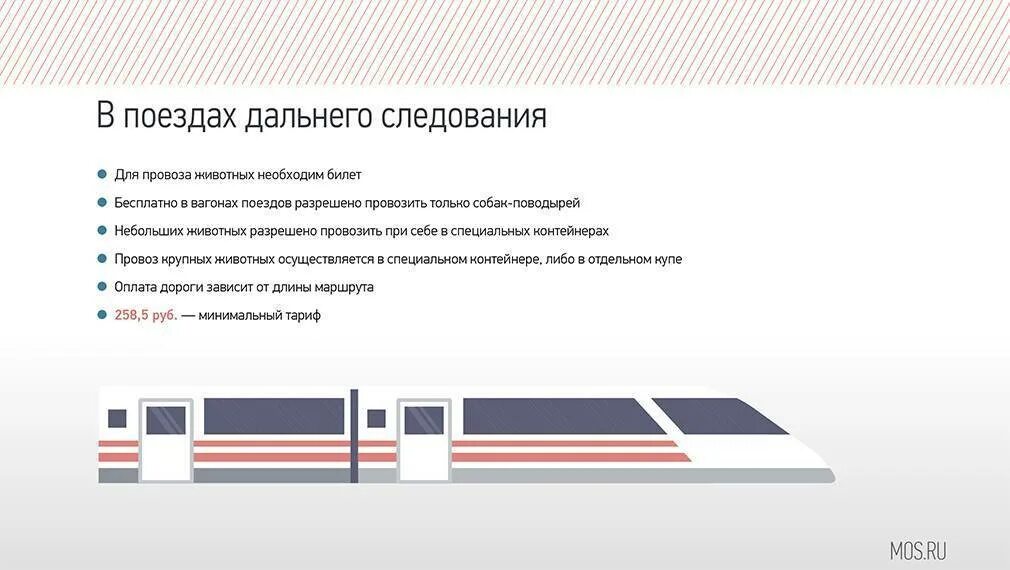 За сколько подают поезд дальнего следования