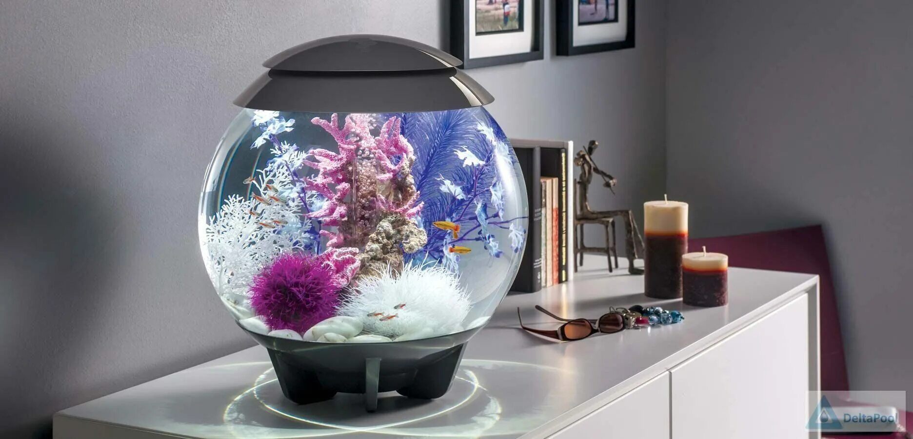 Декоративный аквариум купить. Аквариум BIORB Halo 30. Аквариум BIORB Flow 30 led. Аквариум BIORB Cube 30 Black. BIORB В интерьере.