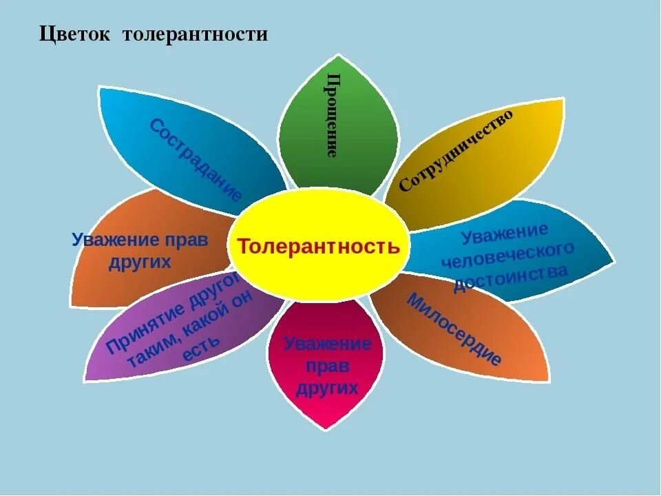 Тест на тему толерантность. Цветок толерантности. Толерантность листовка. Толерантность брошюра. Цветок толерантности презентация.