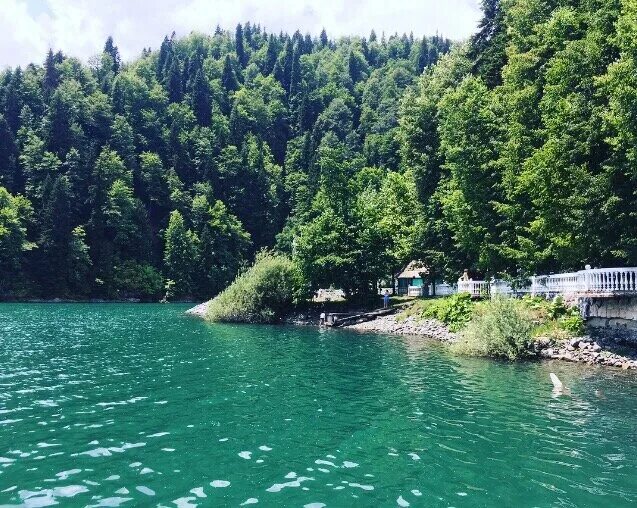 Абхазия стоит ли ехать в 2024. Дикий пляж на озере Рица Абхазия. Дикая Абхазия. Абхазия Дикие места для отдыха. Абхазия стоит ли ехать отдыхать в 24.