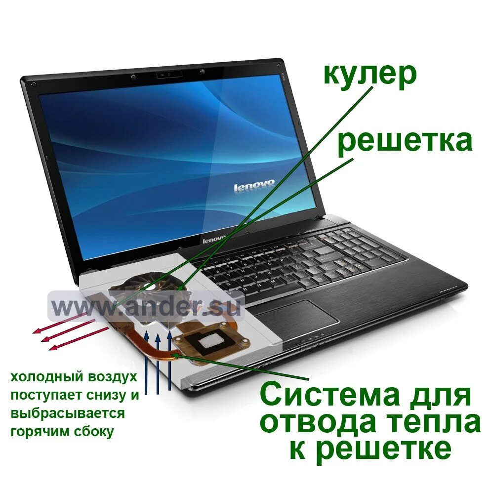 Ноутбук сам отключается во время работы. Части ноутбука. строение ноутбука. из чего состоит ноутбук. ноутбук строение внешнее.