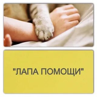 Лапка помощи
