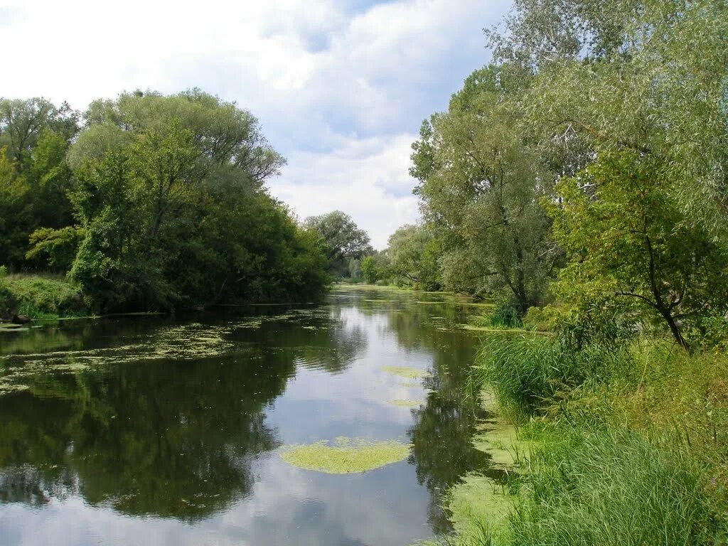 северский донец река в харьковской области. северский донец харьковская область змиев. северский донец трехизбенка. река северский донец в коксовом. река северский донец.