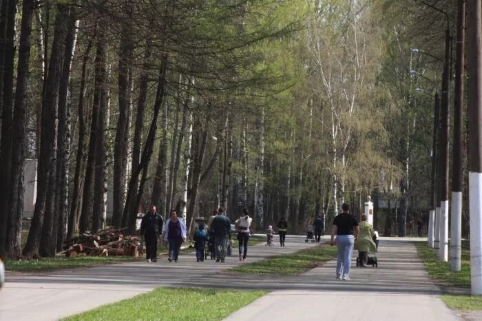 Екатеринбург сколько парков. Город Богородск парк. Богородск Нижегородская область парк. Новый парк Богородск. Старый парк Богородск.