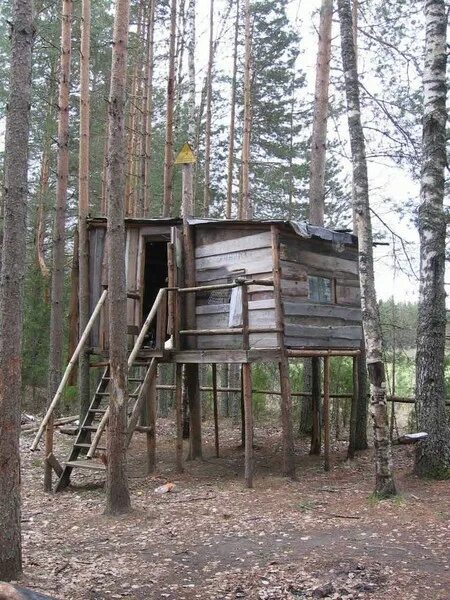 Как сделать базе дома