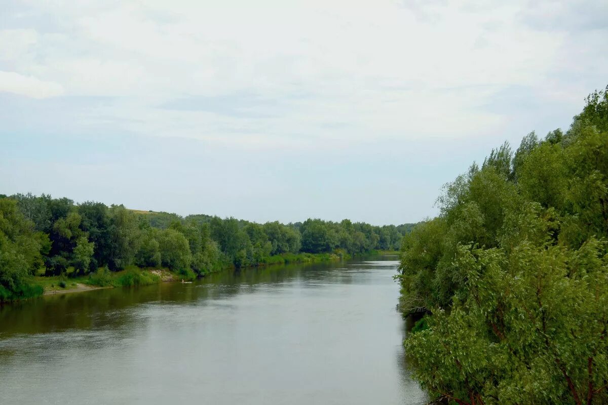 Притоки медведица. Медведица (приток Дона). Река Медведица. Река Медведица Волгоградская область. Устье реки Медведица.