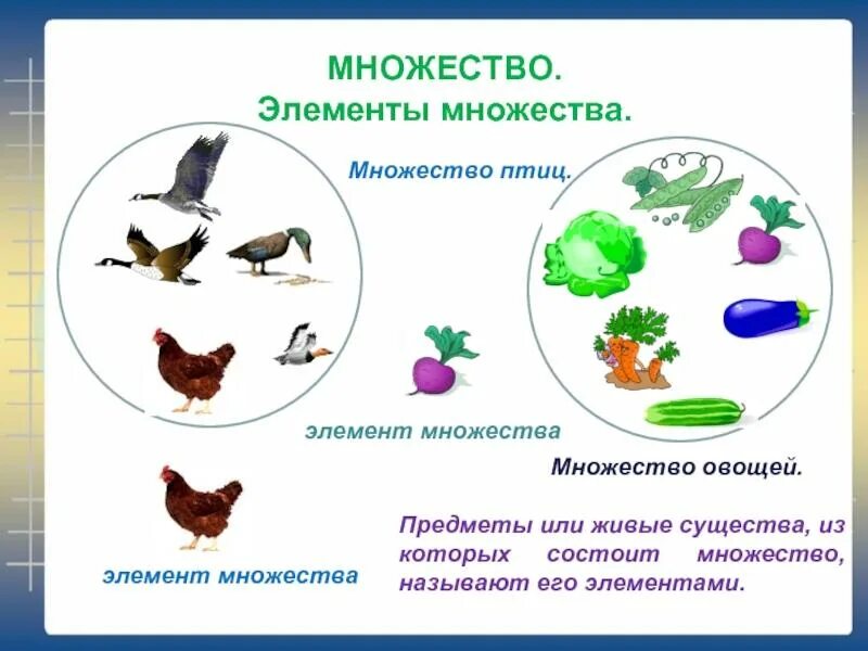 Конспект урока "Множества. Подмножества. Операции над множествами" по математике