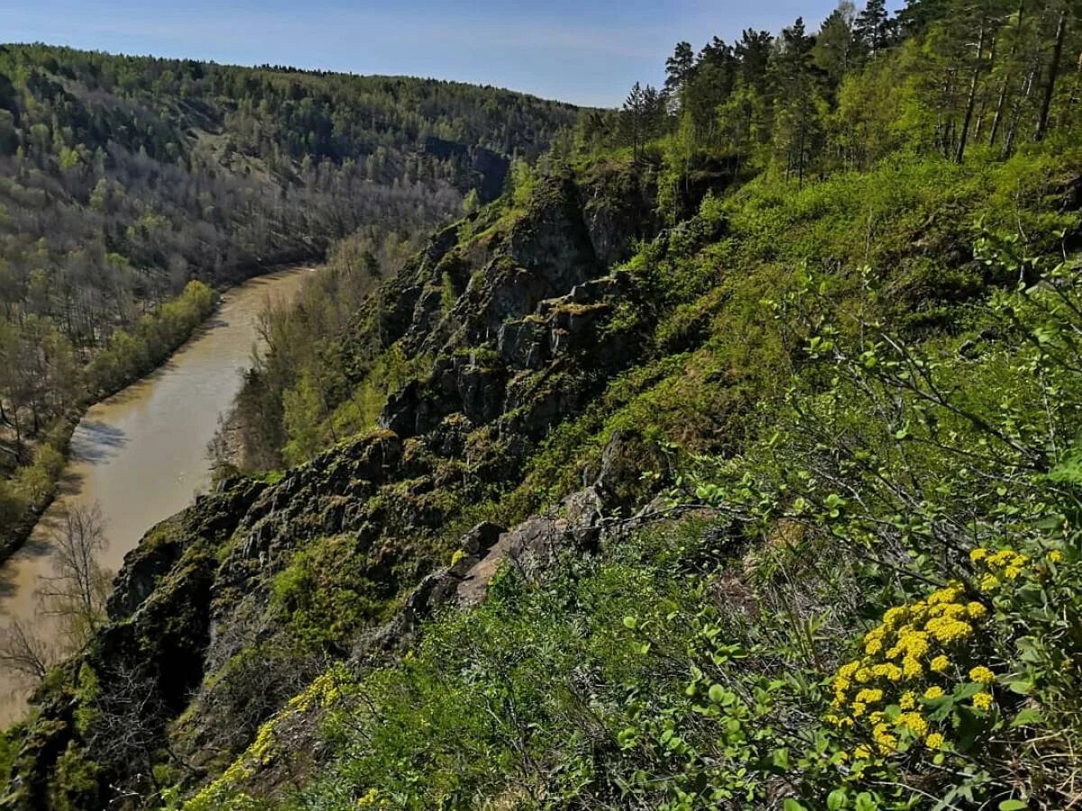 новососедово бердские скалы. скалы нсо. экологический парк бердские скалы (скала зверобой). бердские скалы искитимский район. гора зверобой бердские скалы.