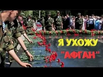 Стоит сосна жемчужная
