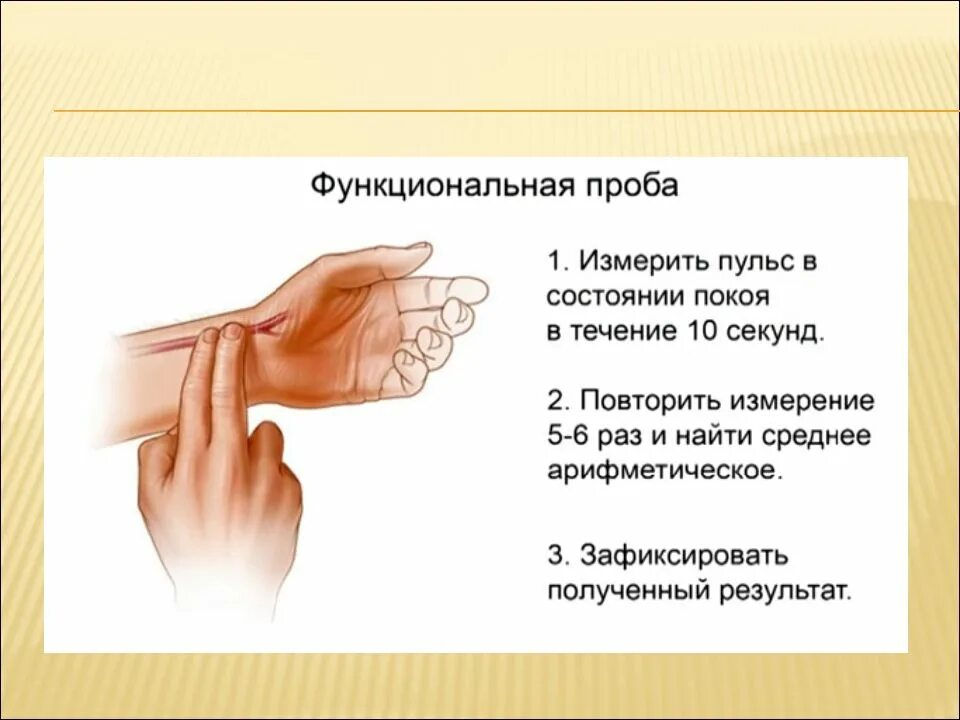 Практическая работа измерение пульса. Как померить пульс. измерение пульса в состоянии покоя. пульс измерение пульса. памятка по измерению пульса.