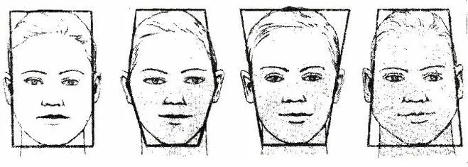 форма головы. классификация форм мозгового черепа. формы черепа и лица. формы черепа и лица. форма лба криминалистика.