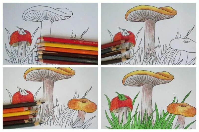 Рисование грибы. Рисование гриба поэтапно. Гриб рисунок. Грибы цветными карандашами. Грибы поэтапно