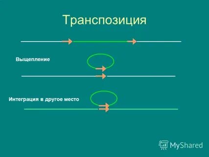 Транспозиция в музыке