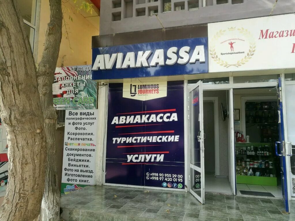 Авиакасса карши. Авиакасса карши. Карши авиакасса тел. Авиакасса ташкент. Авиакасса карши.