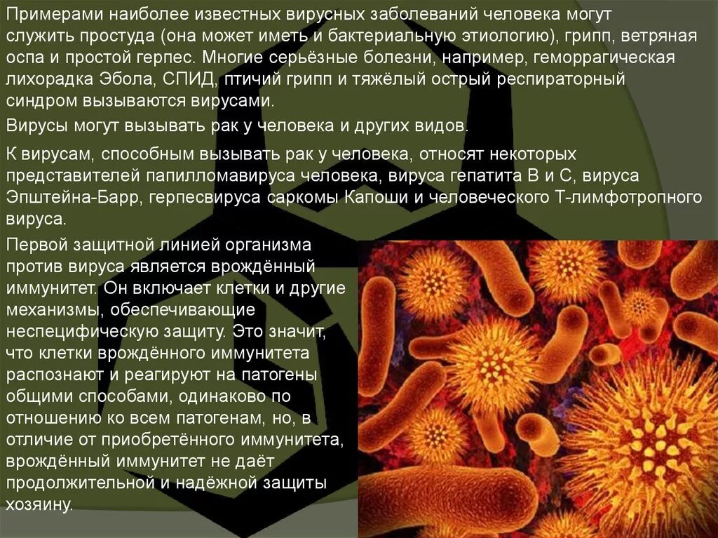 Заболевания передающиеся вирусами. Вирусы вызывающие заболевания. Заболевания вызванные бактериями и вирусами. Бактериальные и вирусные заболевания человека. Болезни животных вызываемые вирусами.