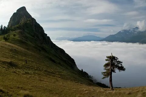 Закан