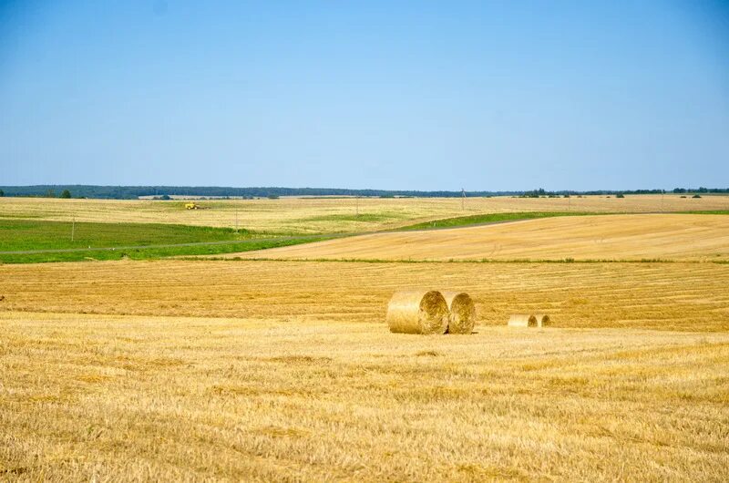 сельскохозяйственные угодья. пахотные поля белоруссия. сельскохозяйственный ландшафт. сельскохозяйственные угодья пример. луговой пастбищный агроландшафт.