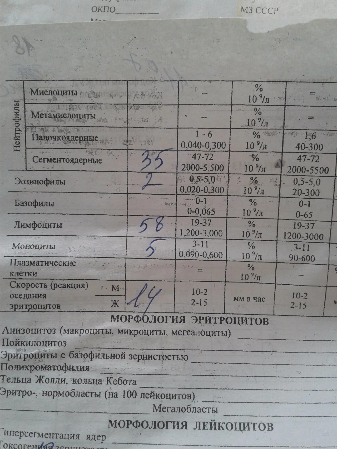 Лейкоциты при орви. СОЭ при вирусной инфекции у ребенка. СОЭ при ОРВИ У детей. СОЭ при пневмонии.