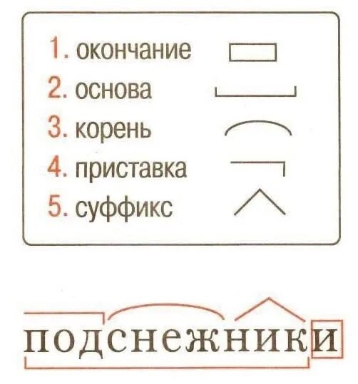 Порядок разбора слова по составу. Порчдок слова разбора по СОСТАВВ. Порядок разбора слова посоству. Порядок разразбора слова по составу.