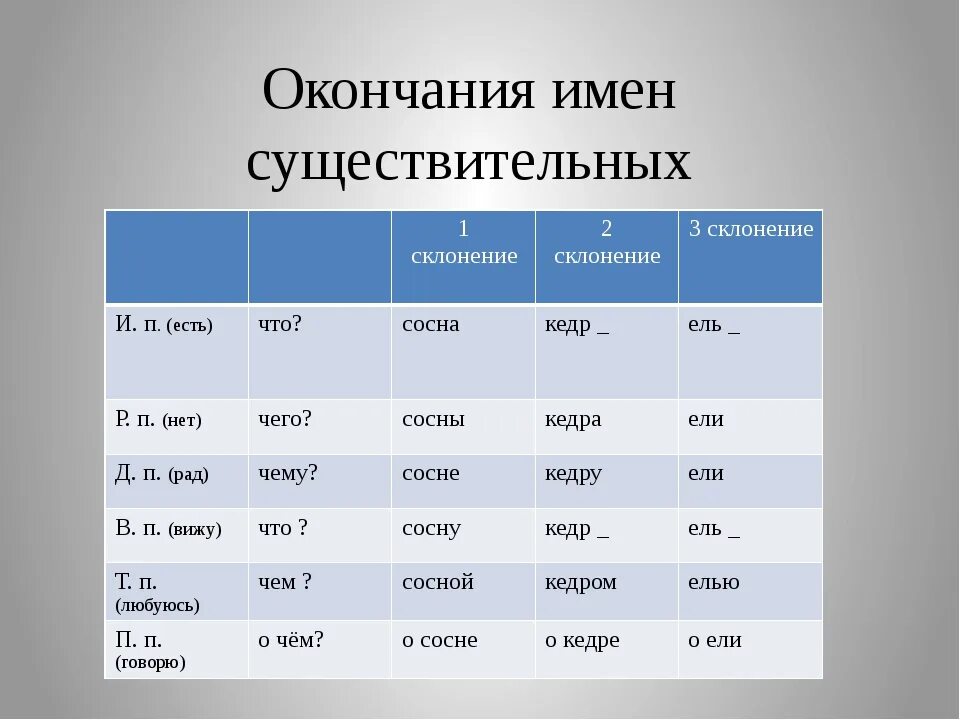 Падежные окончания имен существительных 1 го склонения