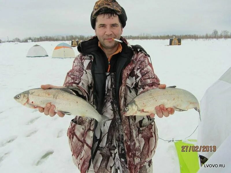 Рыба на севере ловят