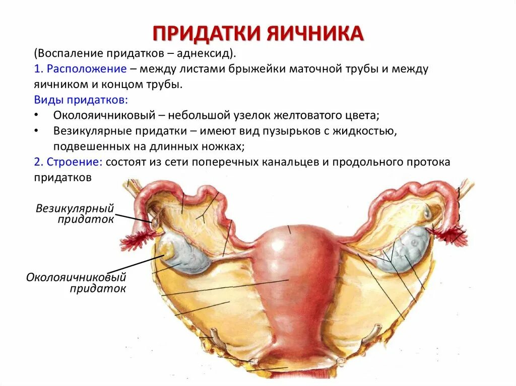 Картинки МАТОЧНЫЕ ТРУБЫ ПРОЦЕСС