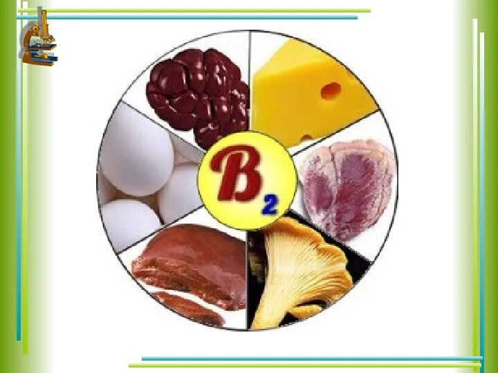 Продукты с витамином в 2. Витаминов b1, b2, b3, b5, b6, b9, b8, b12;. Витамины в2 в5 в6. E101 — рибофлавин (витамин b2). Витамин к1 и к2.