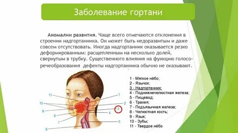 Заболевание гортани лечение