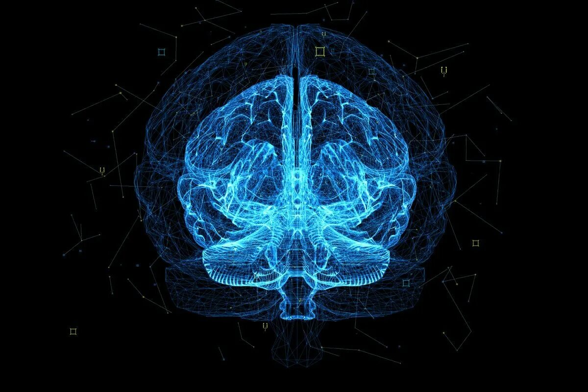 изображение человеческого мозга. физиологический сон. сновидения. исследователь мозга. сон и мозг человека.