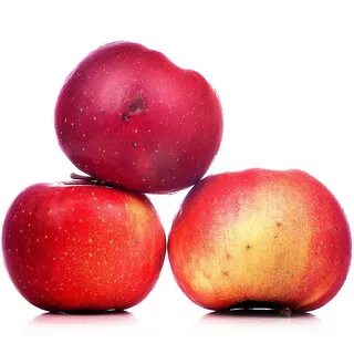 Сорт яблони амброзия отзывы