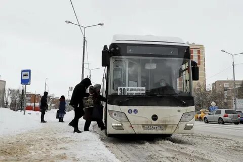 33 автобус домодедово