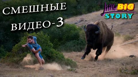 Веселый случай жизни