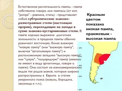 Что означает слово пампасы