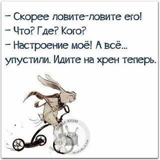 Лови быстрее