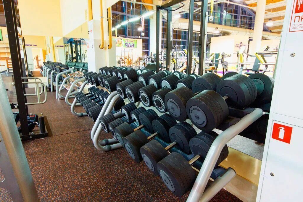 Проспект культуры фитнес хаус. Проспект культуры фитнес хаус. Fitness house культуры. Fitness house культуры. Спортзал фитнес хаус.