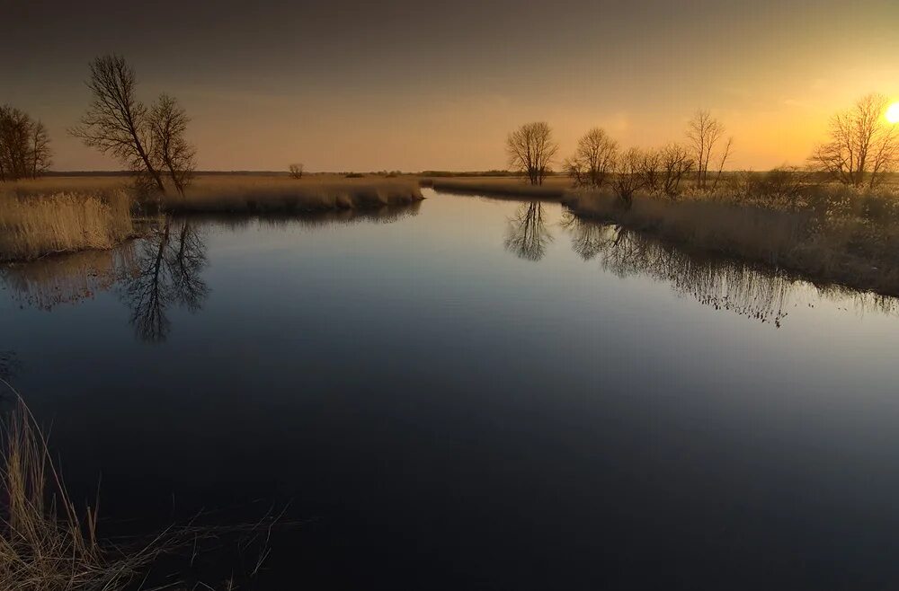 Озеро тихая вода. Тихая вода. Тихая вода фото. ЛЕСК тихих вод. Фотогорький фотосайт.