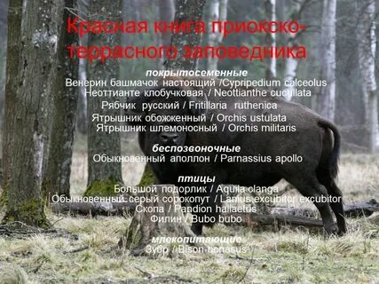 Приокско террасный заповедник кроссворд 3