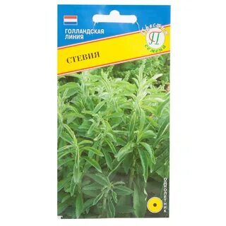 Стевия семена