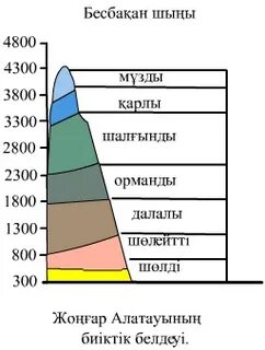 Табиғат зоналары мен биіктік белдеулер