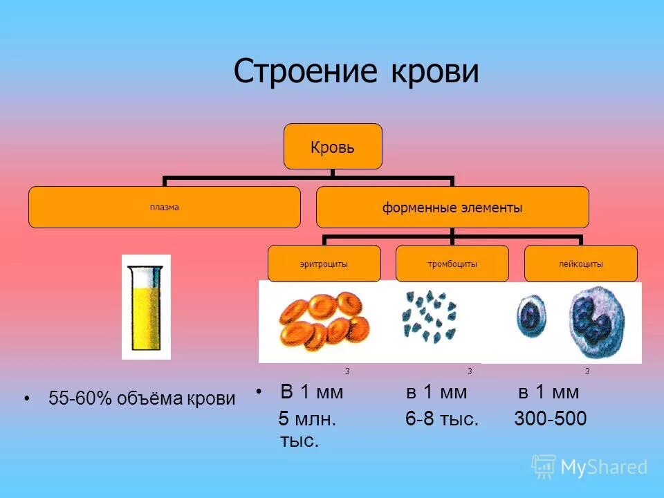 компоненты плазмы крови. кровь плазма и форменные элементы крови.