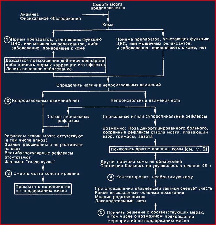 Назовите исследование констатирующее смерть мозга. Через какое время умирает мозг. Симптомы смерти мозга. Исследование констатирующее смерть мозга. Клиническая смерть мозга.