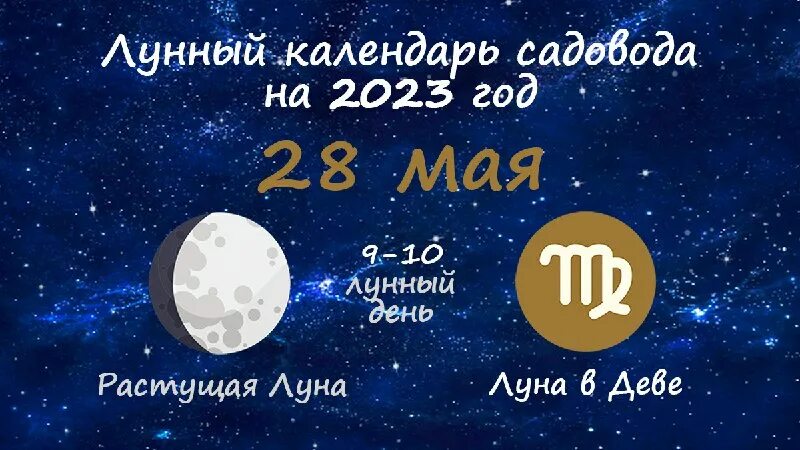 2023 год по китайскому календарю. лунный календарь 2023 садовода 2023. лунный календарь на август 2022. календарь луны на август 2022. лунный на май 2023 года.