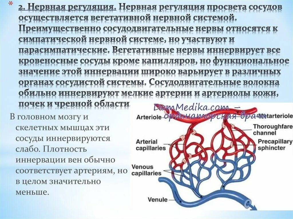 При понижении окружающей среды сосуды кожи. Регуляция Просветов кровеносных сосудов. Гуморальная регуляция просвета сосудов. Регуляция просвета сосудов и кровяного давления. Микроциркуляторное кровообращение.