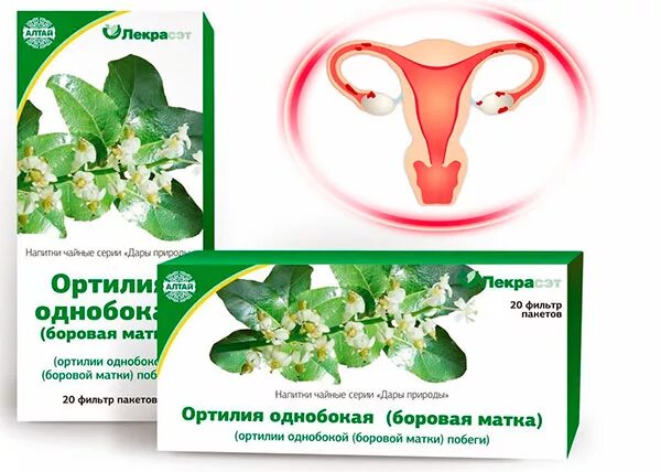 Боровая матка при месячных. Миомы матки препараты боровая матка. боровая матка эндометриозе. боровая матка при эндометриозе. бодровая матка прижндометриозе.