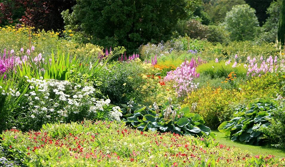 Jardin fleuri салон. Жардан флери